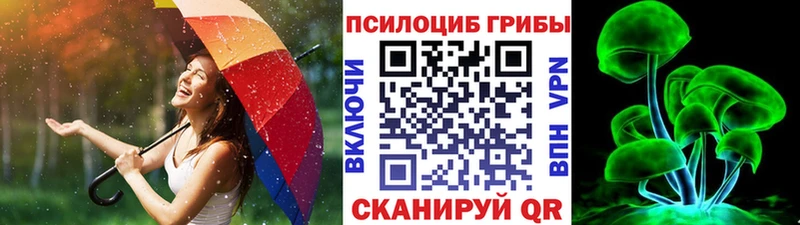 купить наркоту  гидра tor  Псилоцибиновые грибы мухоморы  Юхнов 